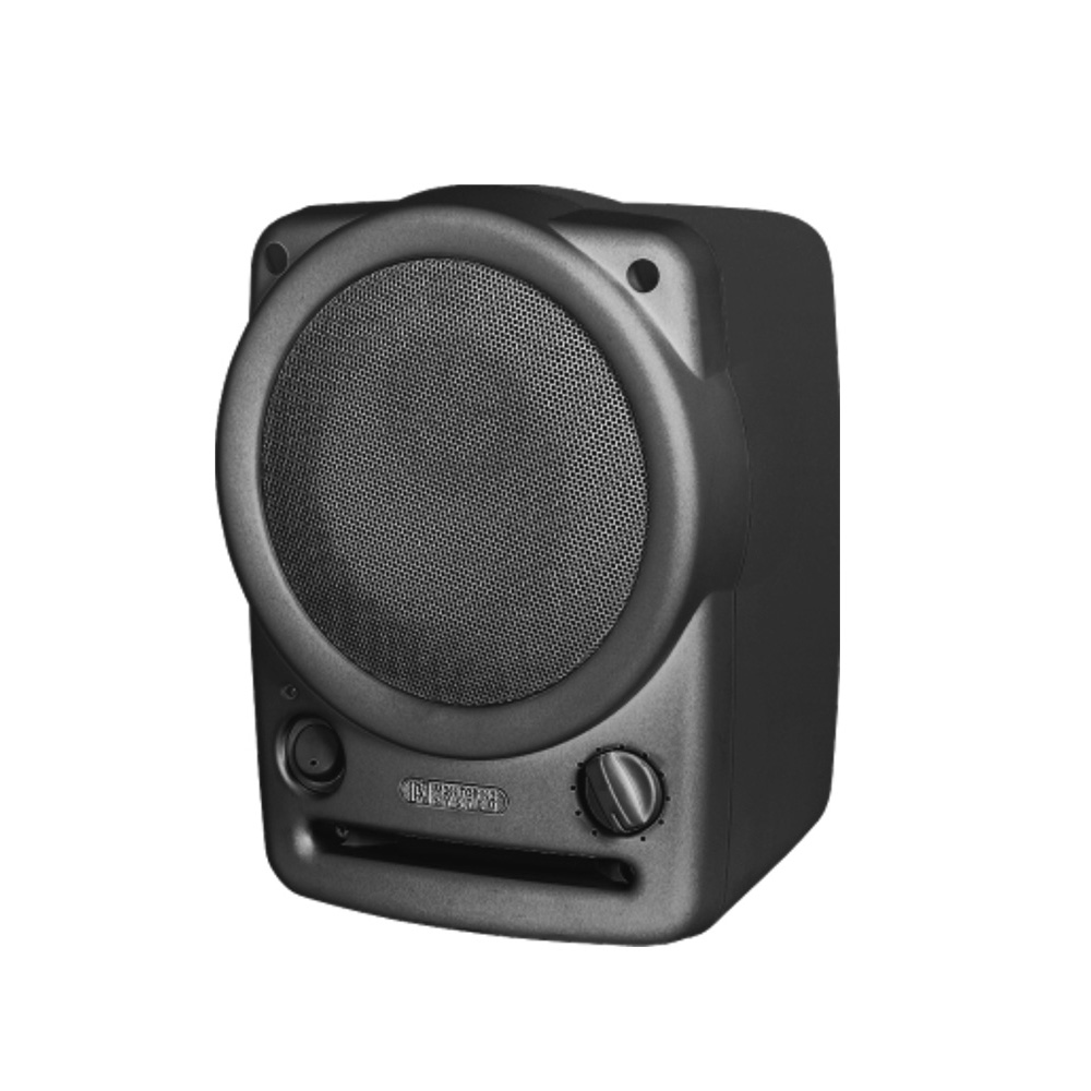 CSM5A 二分频有源音箱